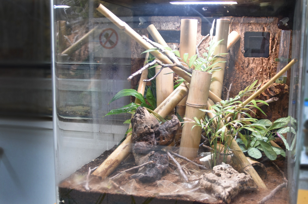 Terrarium_Oase