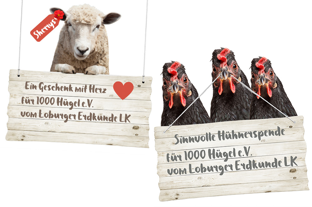Spende 1000 Hügel e.V.