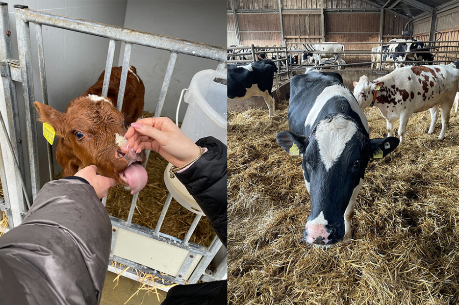 Exkursion Hof Disselmann