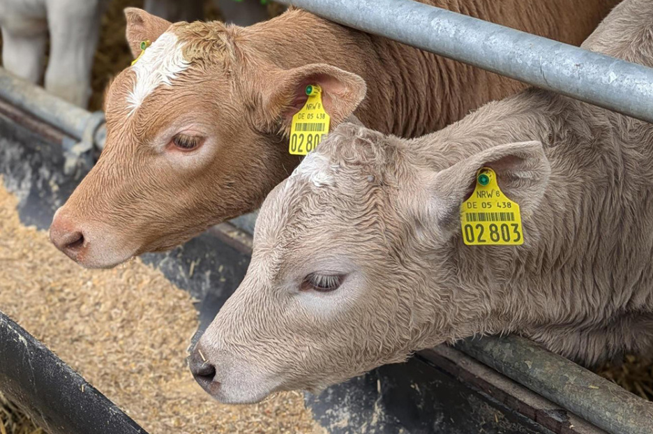 Exkursion Hof Disselmann