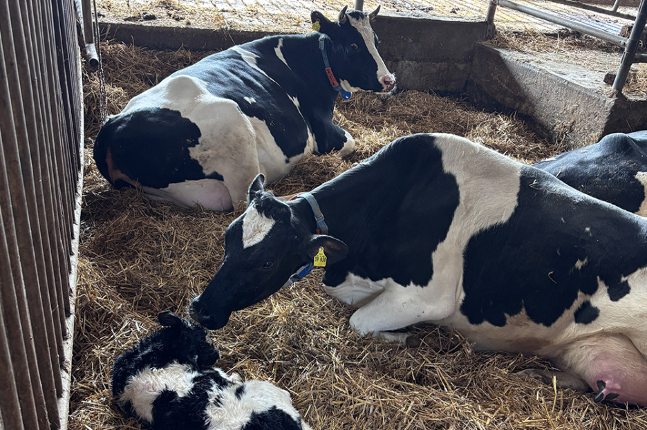 Exkursion Hof Disselmann