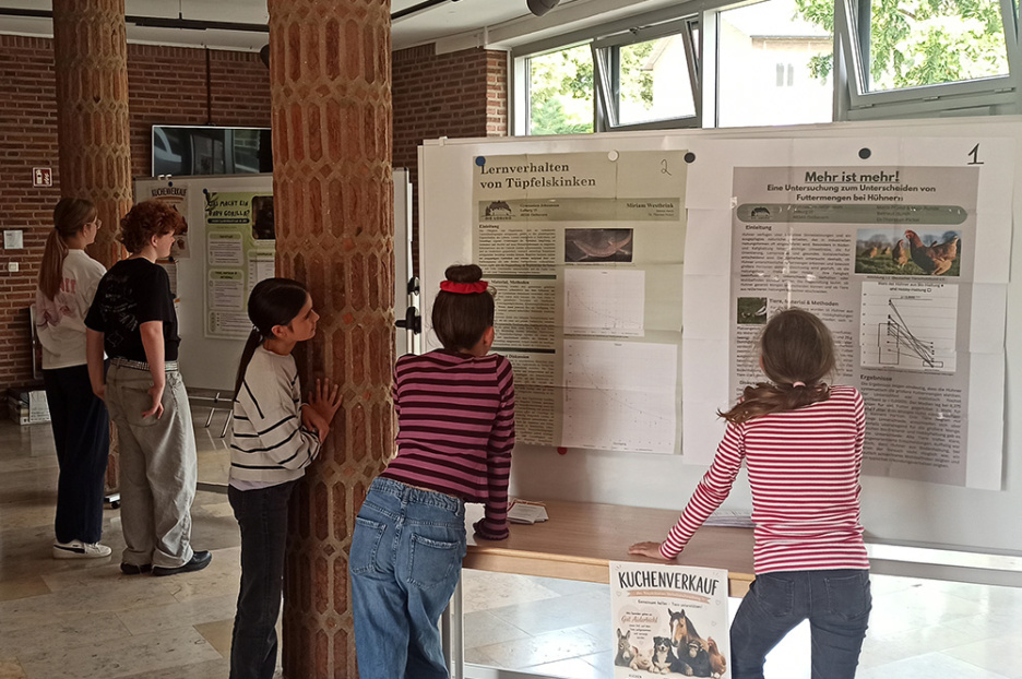 Posterpräsentation Projektkurs Verhaltensforschung