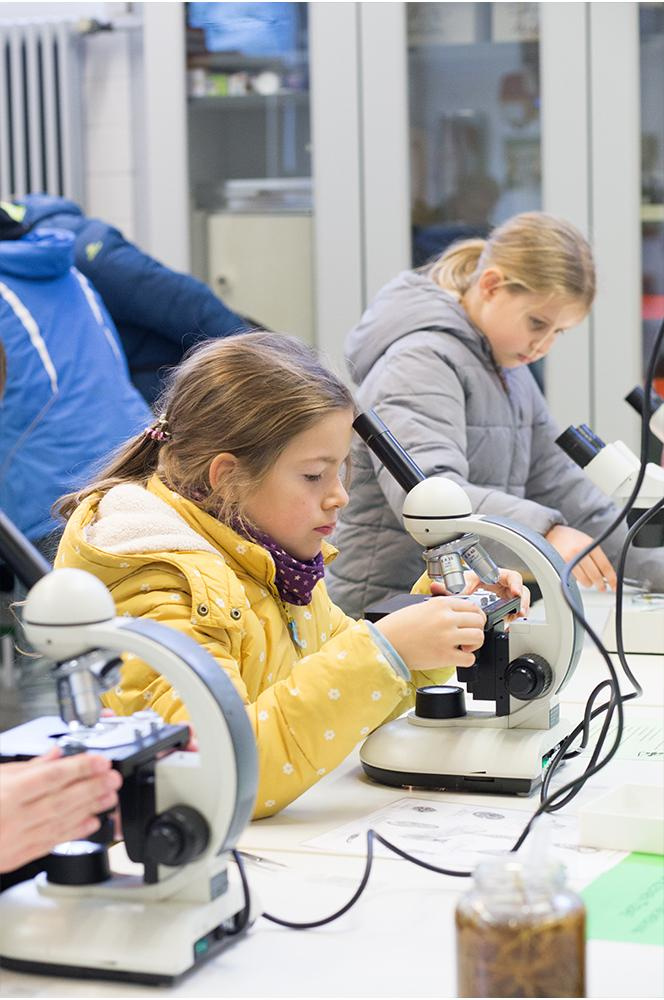 Bilder Informationstag 2022